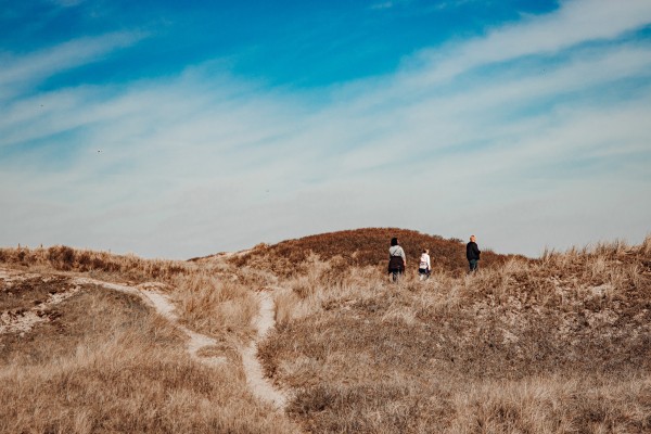 Voorjaar_duinen.jpg