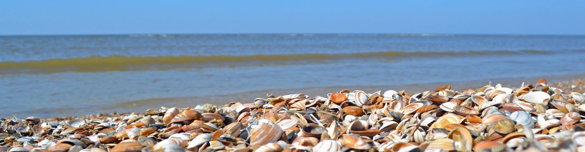 Strand(2).jpg