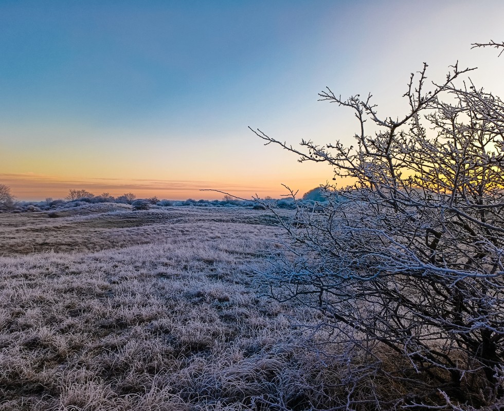 Winter duinen in Egmond aan Zee