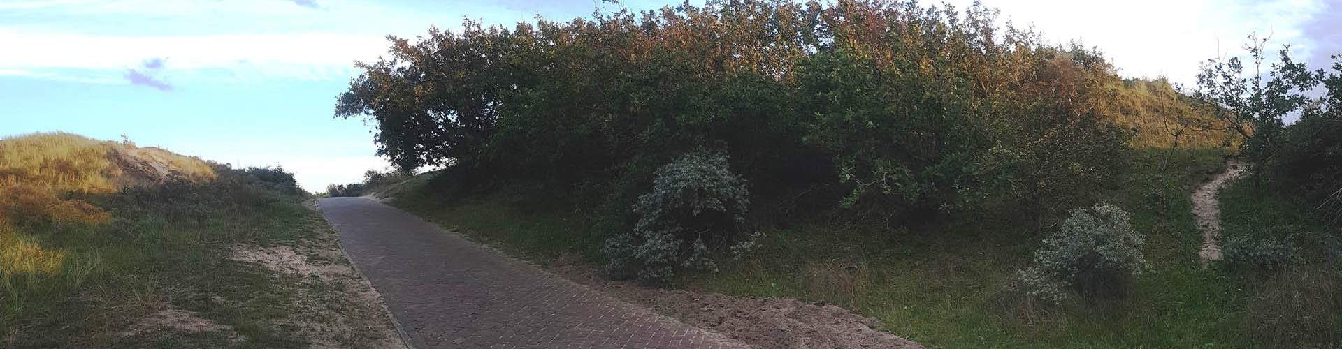 Foto's Egmond - Omgeving(5).jpg